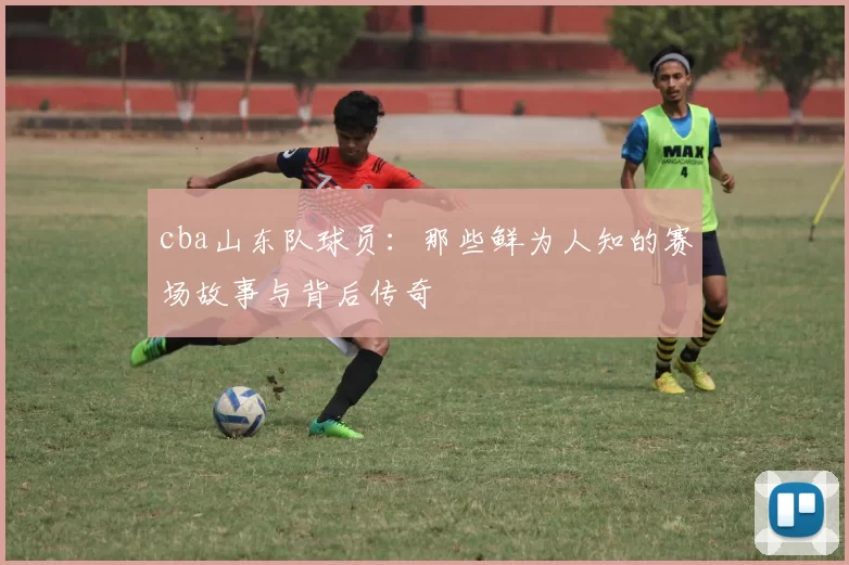 cba山东队球员：那些鲜为人知的赛场故事与背后传奇